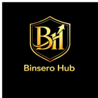 Binsero Digital Hub